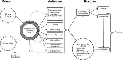 Resilience of Avian Communities to Urbanization and Climate Change: an Integrative Review